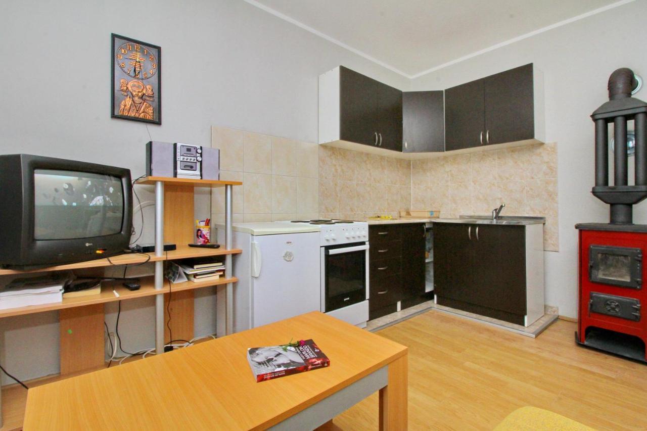 Tara Lake Apartments Jevtici Kültér fotó