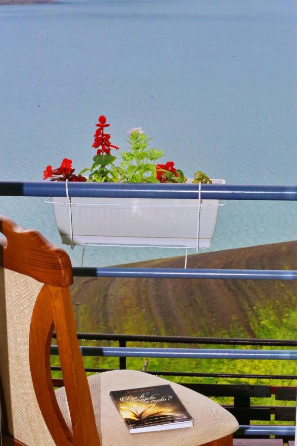 Tara Lake Apartments Jevtici Kültér fotó