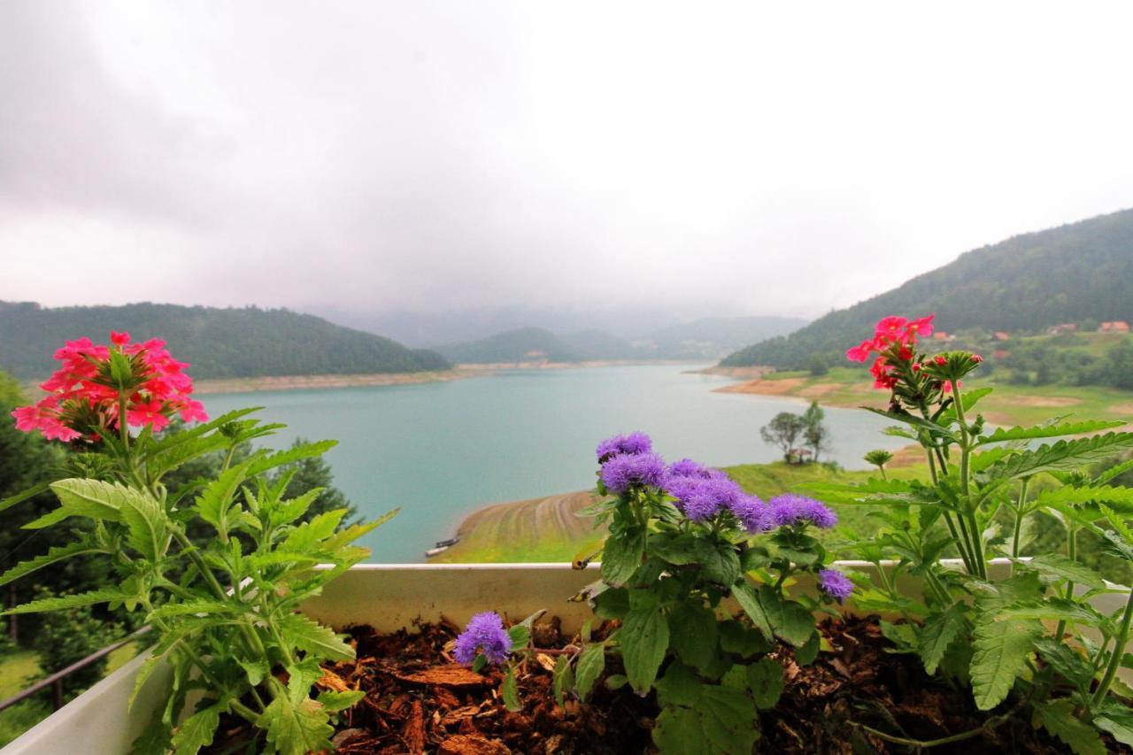 Tara Lake Apartments Jevtici Kültér fotó